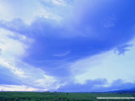 25009 (a): :1024x768